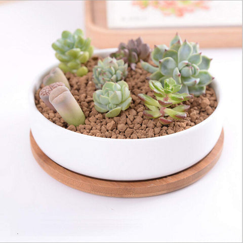 Lawei gift-ready ceramic planters ideal for birthdays and holidays.