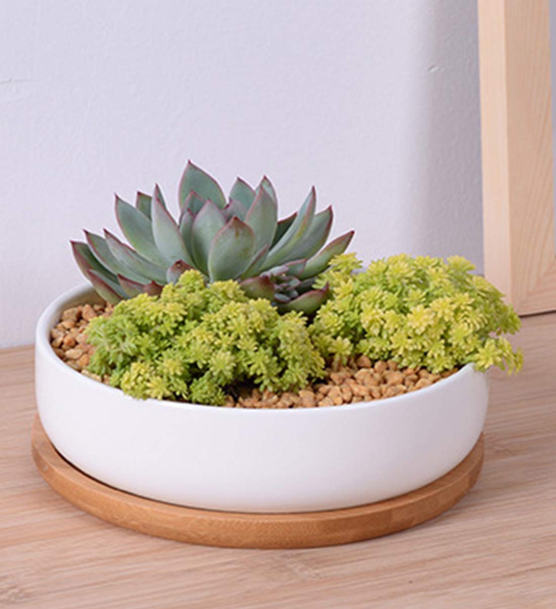 Lawei white ceramic planters displayed on window sill for indoor decor.