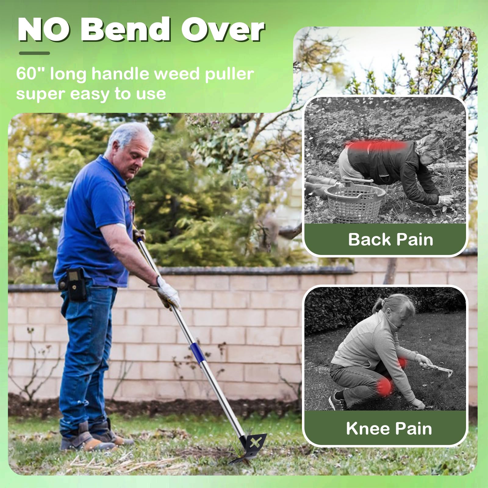 LAWFYMORI-weed-rake-6-tines penetrates soil to pull deep roots.