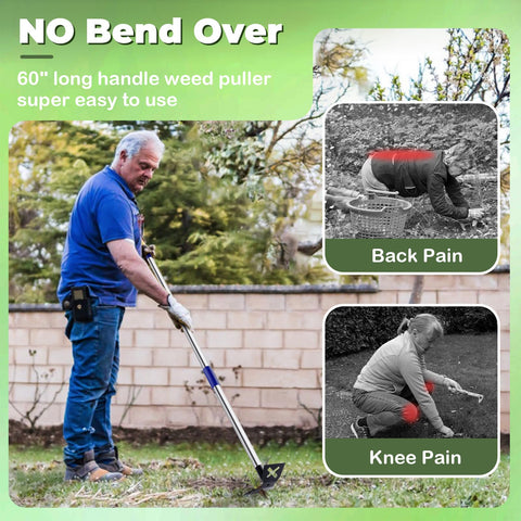 LAWFYMORI-weed-rake-6-tines penetrates soil to pull deep roots.