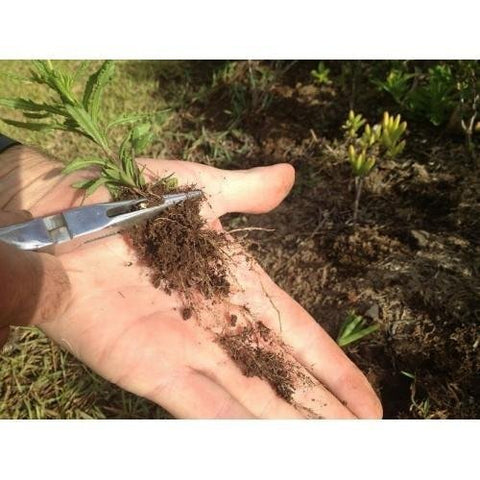 Lawn Jaws supports chemical-free gardening with manual weed removal.