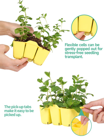 LAWNFUL seed starter trays in lemon yellow, on a sunny windowsill for indoor germination