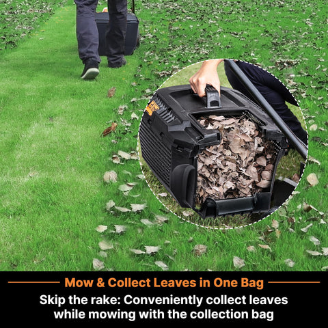 LawnMaster CLM2413A height adjustment lever demonstrates fast one touch cutting changes.