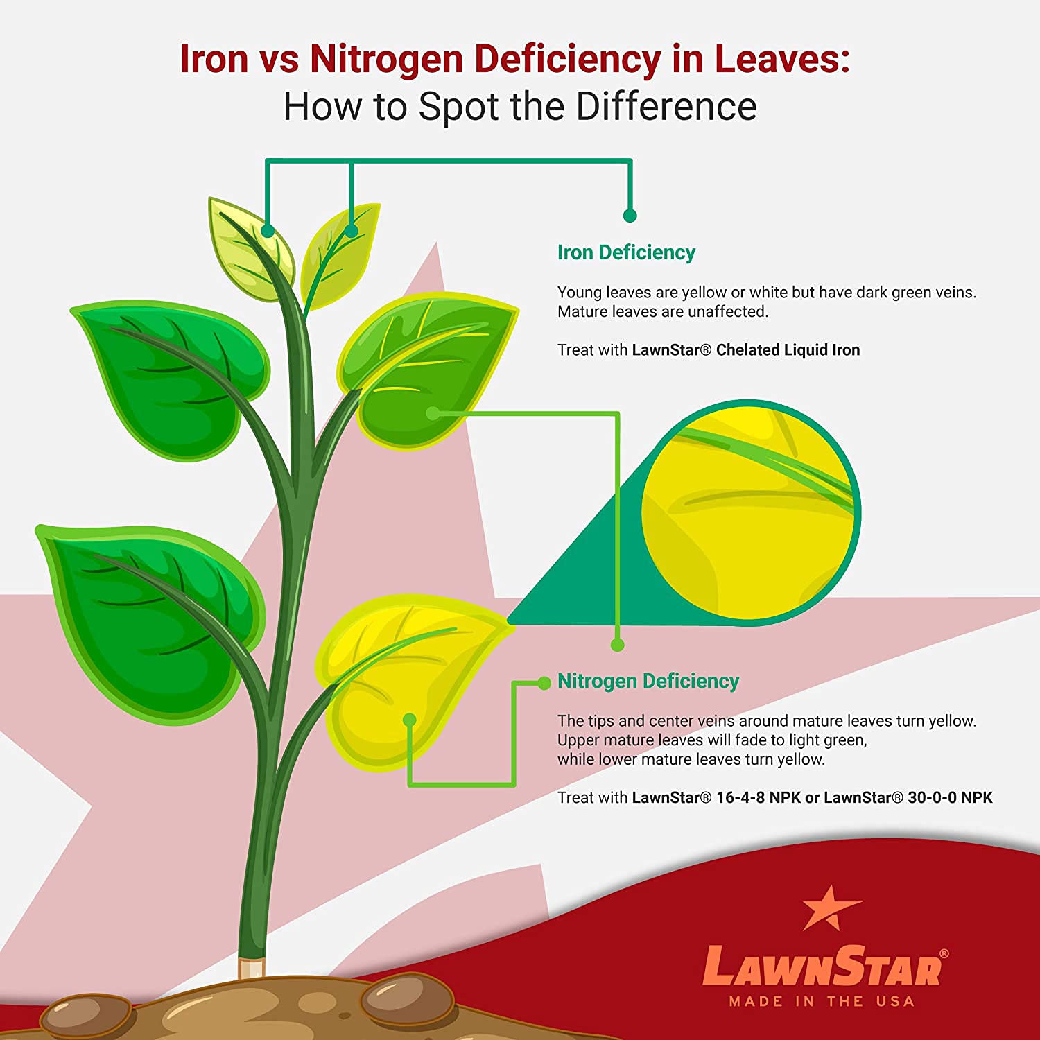Packaging with American-made badge for LawnStar Liquid Iron quality