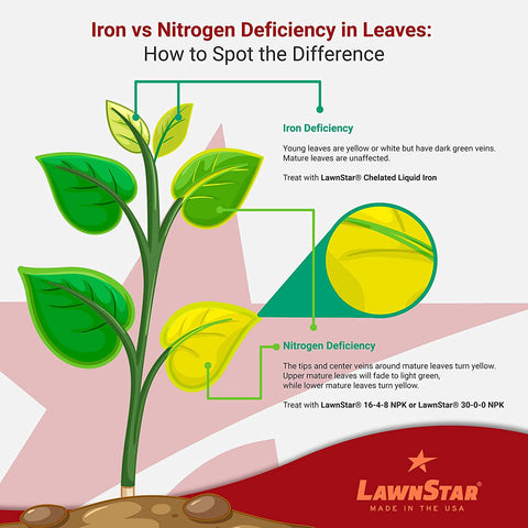 Packaging with American-made badge for LawnStar Liquid Iron quality