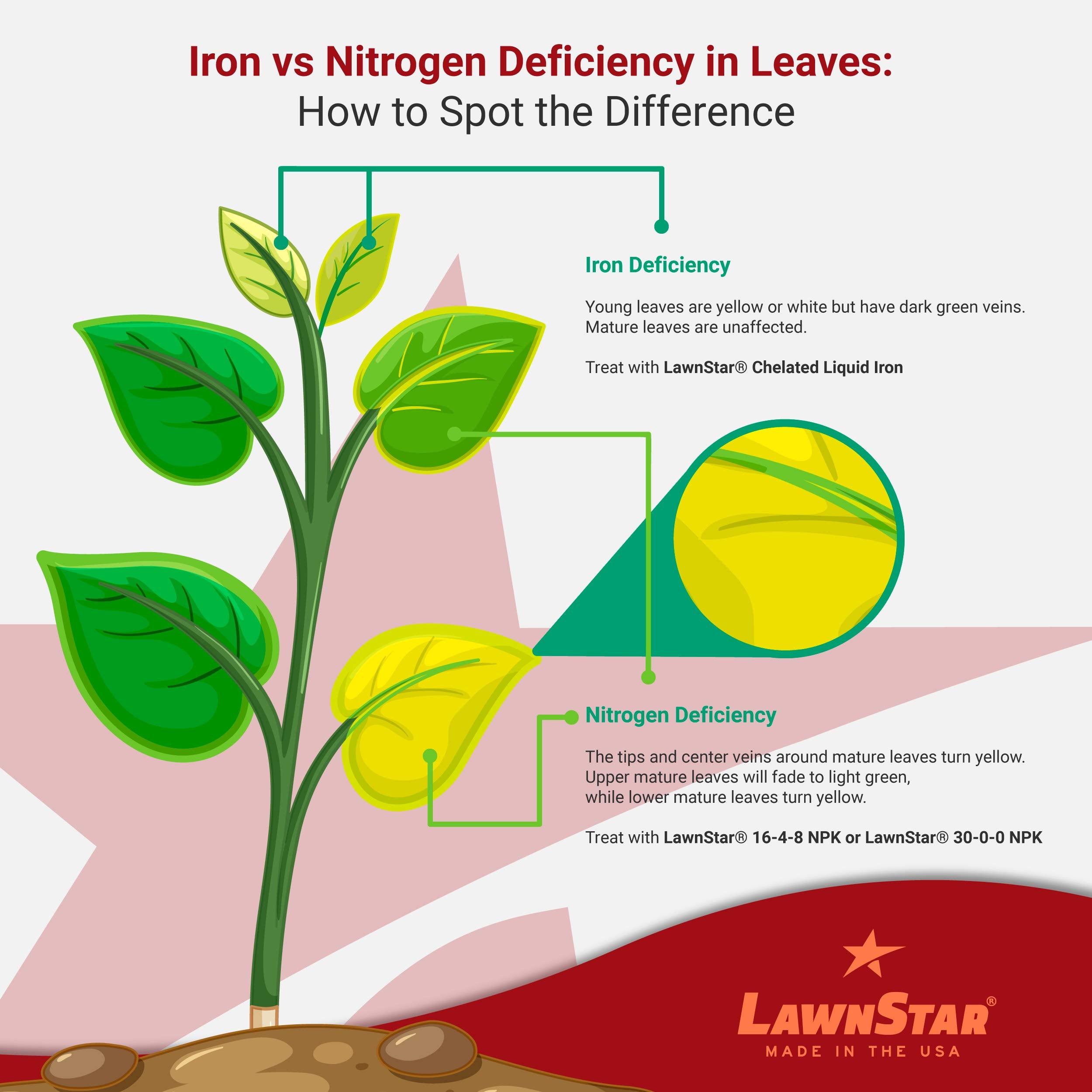 LawnStar EDTA-free formula remains effective in high pH soils up to 9.5