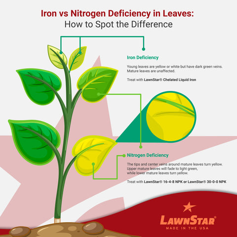 LawnStar EDTA-free formula remains effective in high pH soils up to 9.5