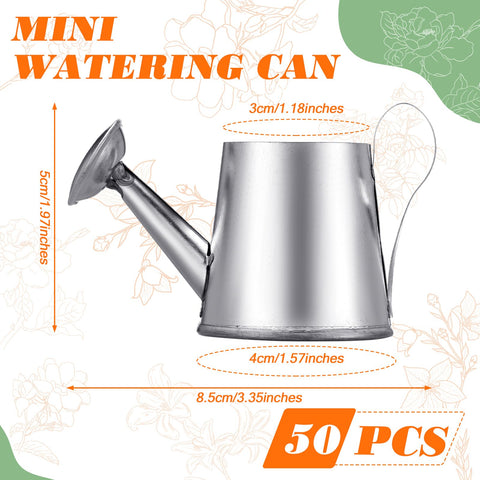 Layhit mini watering can silver on a table, adds cozy rustic decor touch.