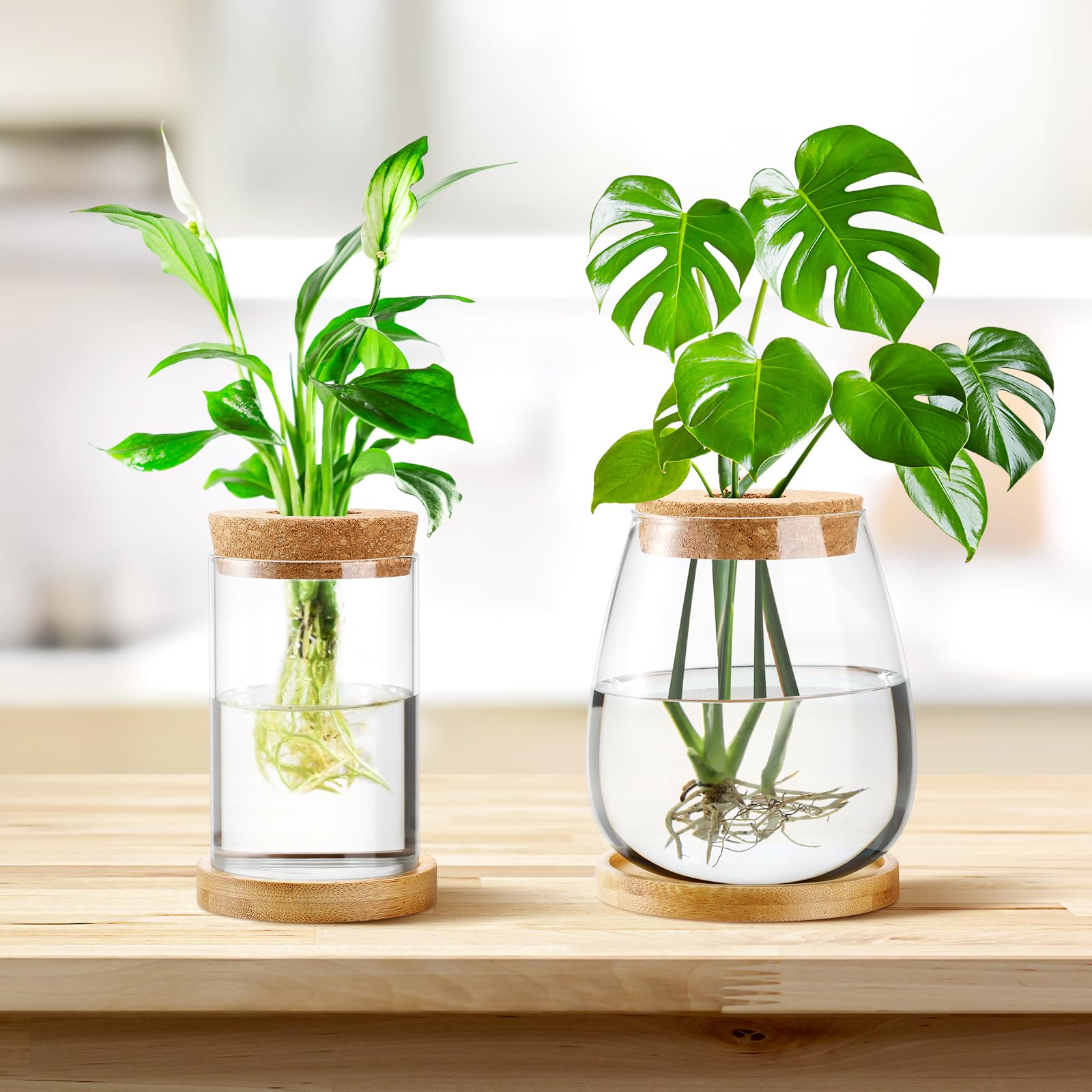Layhit propagation station home office decor with natural bamboo base.