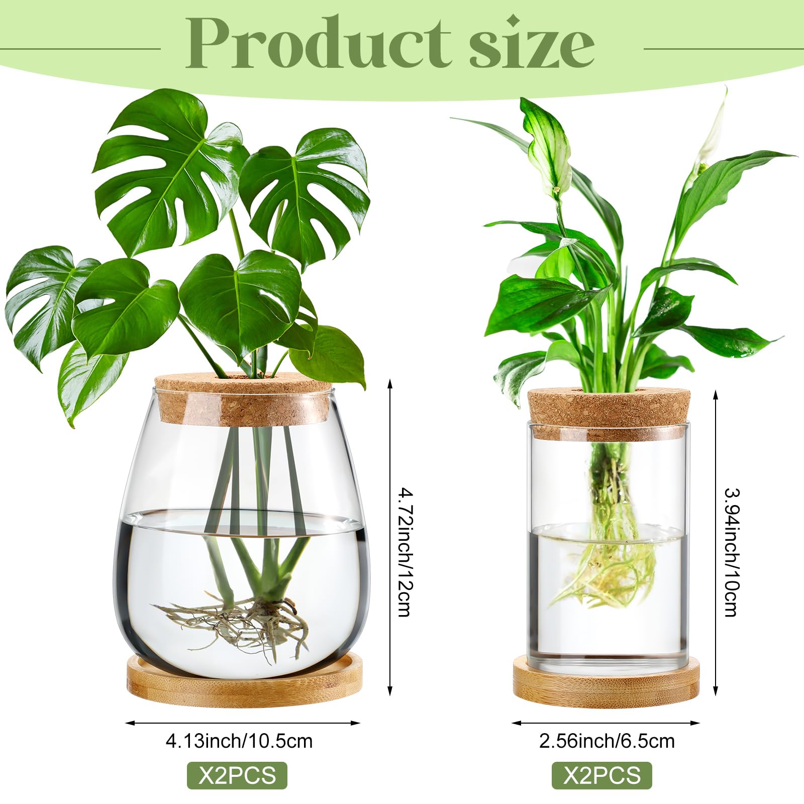 Layhit hydroponic planting display suitable for herb and leafy cuttings.