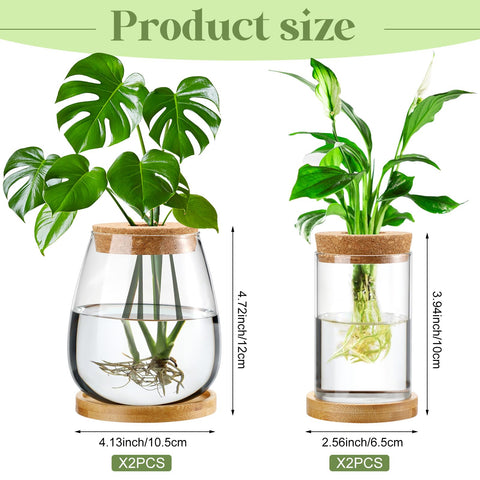 Layhit hydroponic planting display suitable for herb and leafy cuttings.