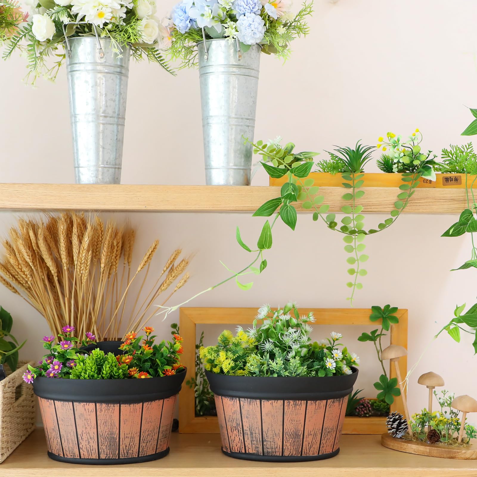 Layhit six-pack display-ready planters for versatile balcony or porch arrangements.