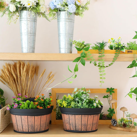 Layhit six-pack display-ready planters for versatile balcony or porch arrangements.