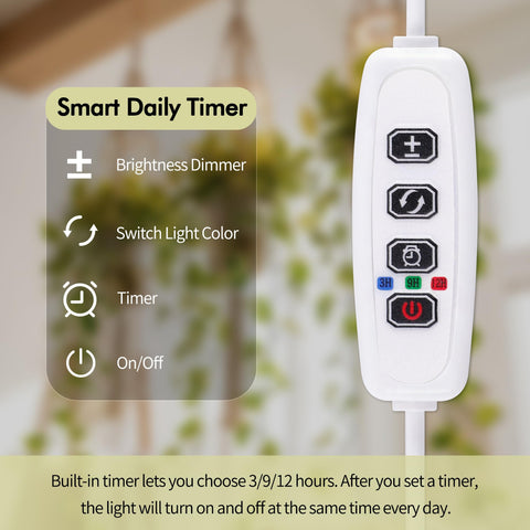 Lazukes auto timer ensures consistent daily lighting without manual reset