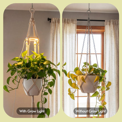 Lazukes full-spectrum light with three modes for year-round indoor plant growth