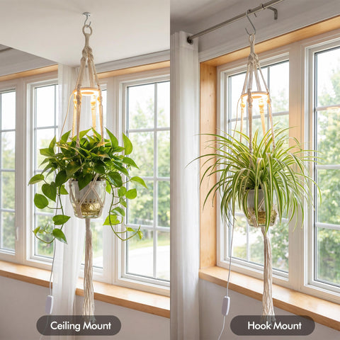 Lazukes vertical green moment by a window creates a cozy corner