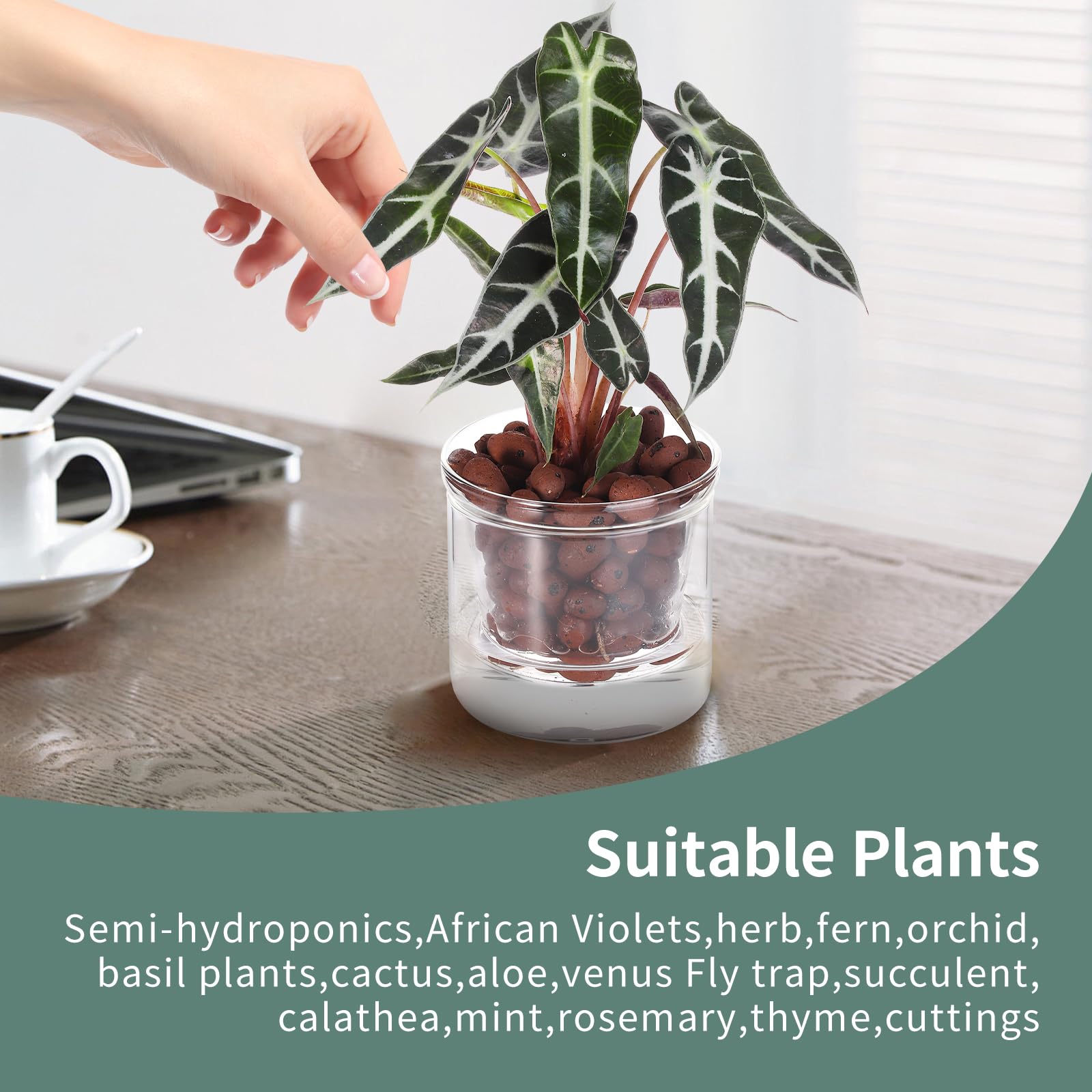 LAZUSAM decorative planter for home or office spaces.