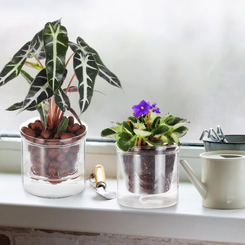 LAZUSAM indoor propagation pot ideal for cuttings and baby plants.