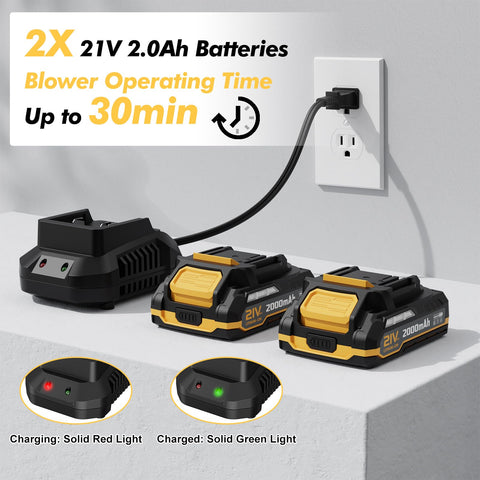 LAZYBOI leaf blower with two batteries extends runtime for larger outdoor jobs.