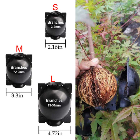 Lazzineer Reusable propagation pod set ready for multiple cycles.