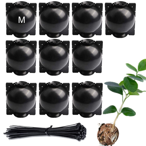 Lazzineer Tree Root Growing Box packaging for simple propagation setup.