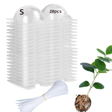Lazzineer Tree Root Growing Box top view showing clear design for easy root observation.