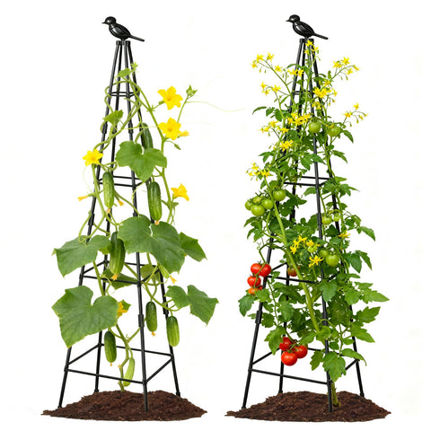 Lazzmonk 2-pack garden trellis with 70-inch tower finial guides climbing plants beautifully