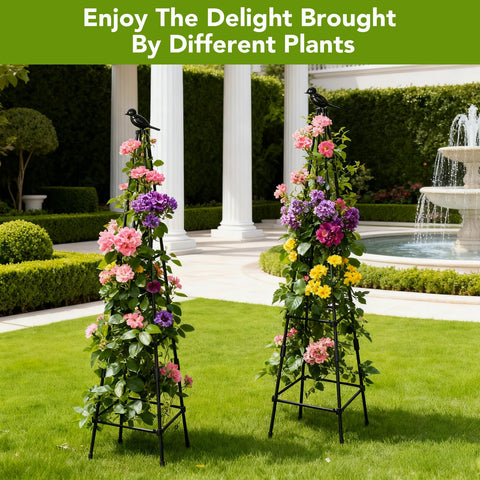 Lazzmonk 2-pack obelisk trellis stake assembly keeps vines upright and tidy
