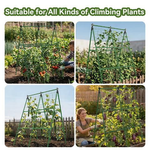 Lazzmonk trellis helping climbing plants grow upward and save space.