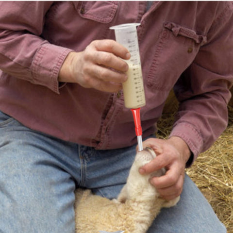 LBH Market 18 Fr 16-inch feeding tube for crop feeding and tube feeding