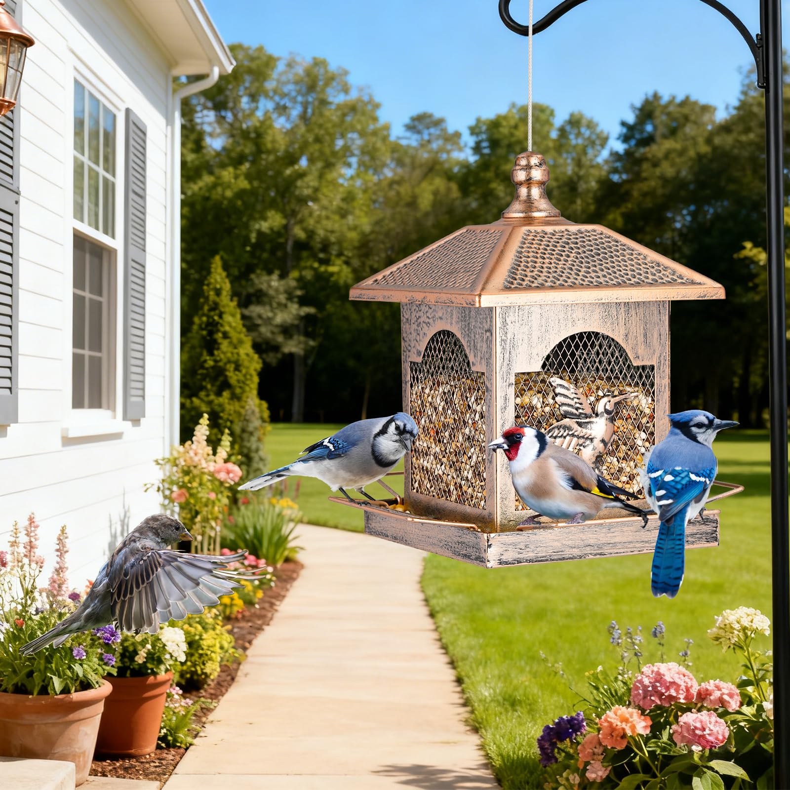 LBTING Bird Feeder four-sided perches host multiple birds.