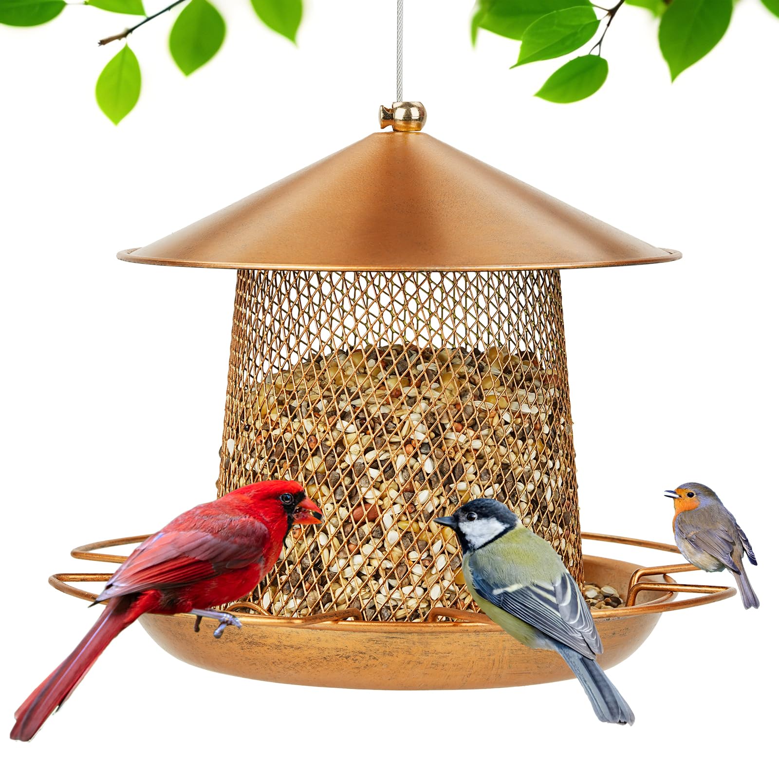 LBTING Bird Feeder outside lantern gold enhances garden decor while inviting cardinals and wrens.