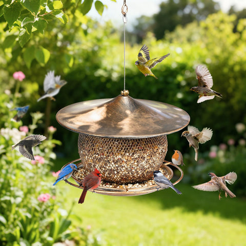 LBTING 360-degree feeding ports allow multiple birds to dine together