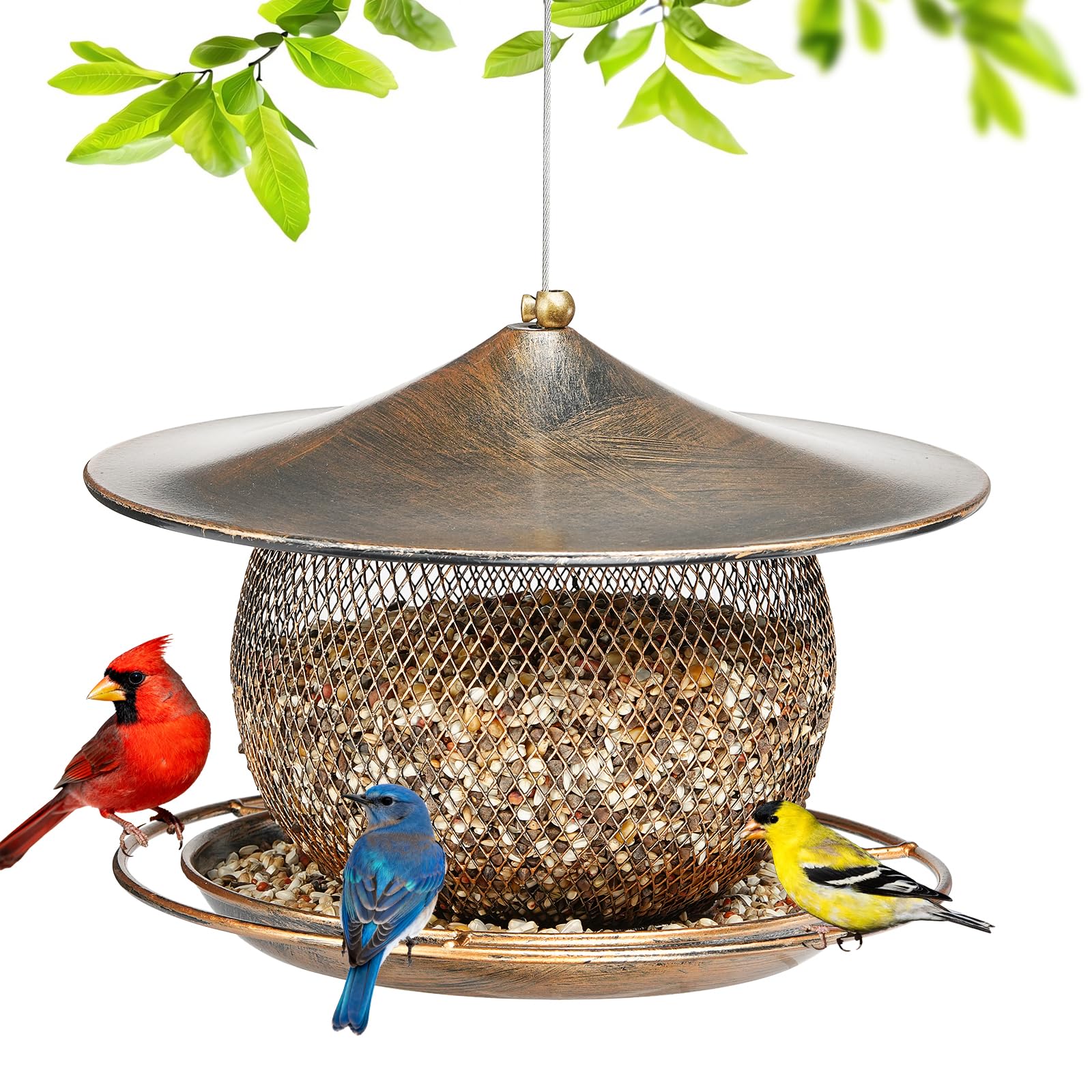 LBTING Bird Feeder Round Lantern front view with large feeding port for multiple birds