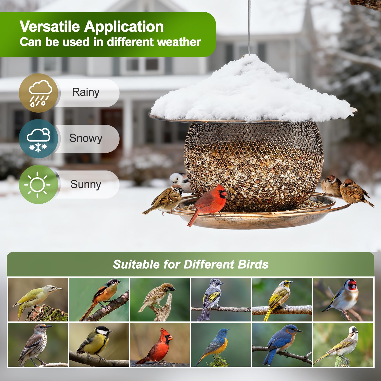 LBTING 3-pound capacity supports various seeds for ongoing bird visits