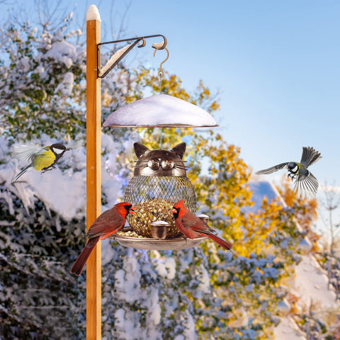 LBTING water cup design supports bird drinking and hummingbird visits.