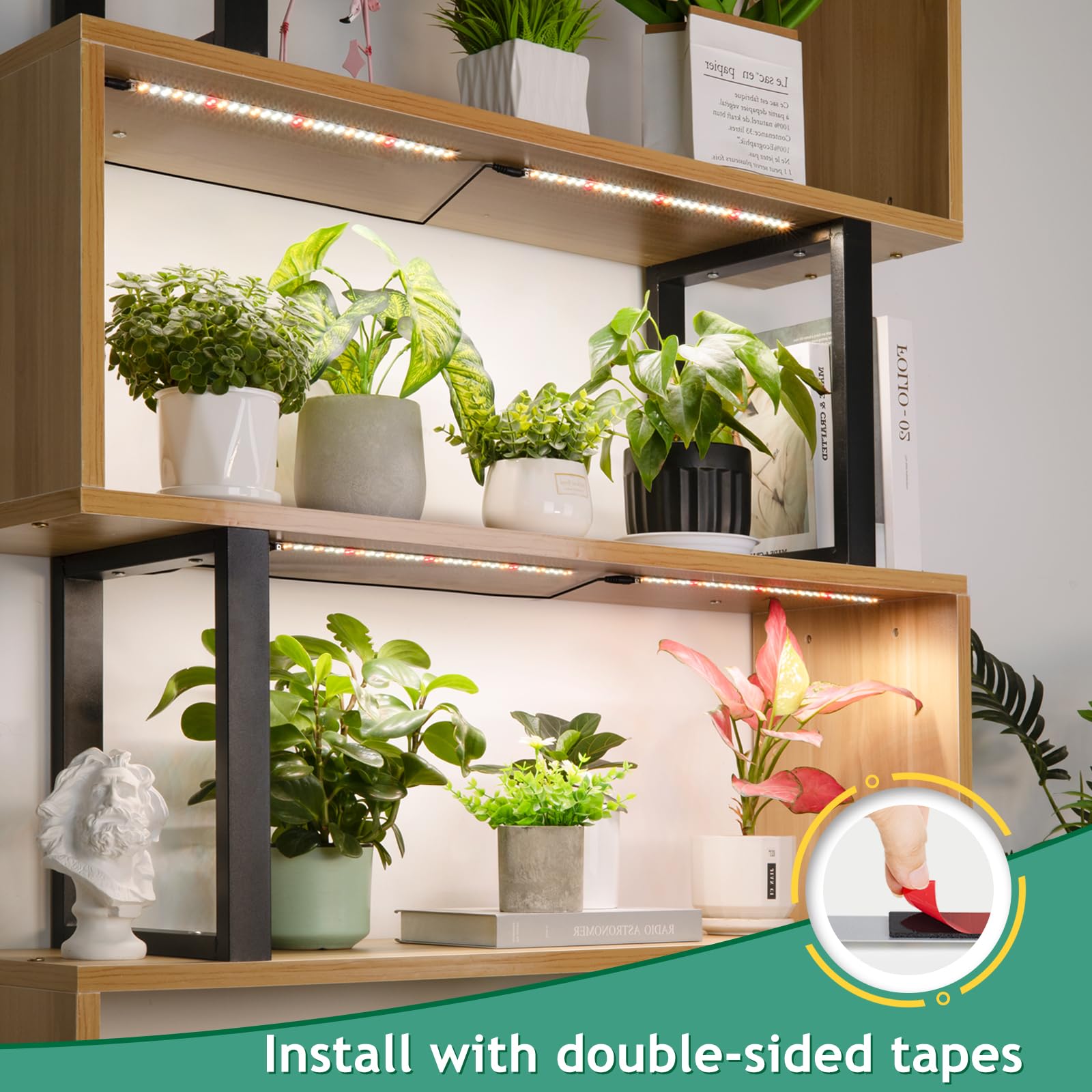 LBW 10-level brightness adjustment enables tailored light for seedling to bloom
