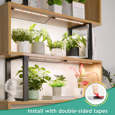 LBW 10-level brightness adjustment enables tailored light for seedling to bloom