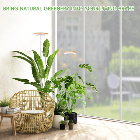 LBW bamboo grow light setup for indoor plants in living room