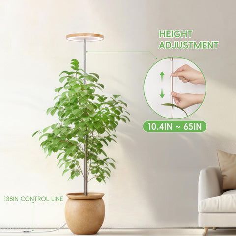 LBW bamboo grow light telescopic pole showing height adjustment