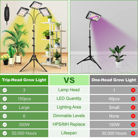 LBW Easy setup and long-lasting LEDs reduce maintenance concerns.