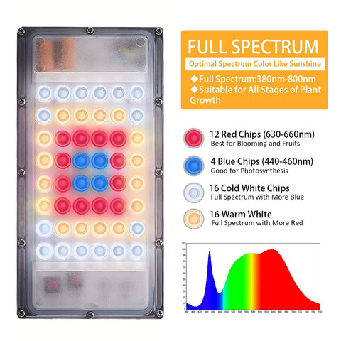 LBW energy-efficient plant light designed to reduce electricity use