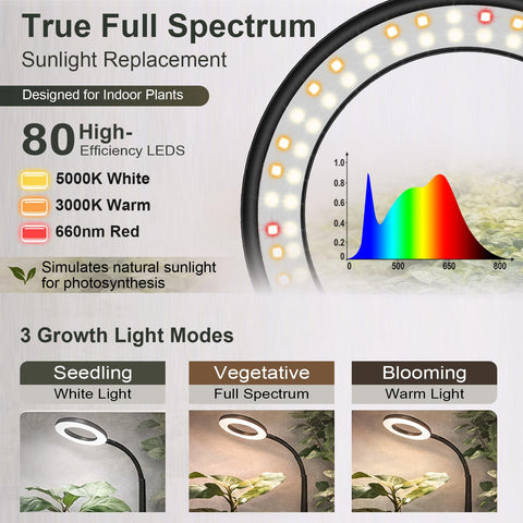 LBW floor grow light timer ensures consistent daily lighting.