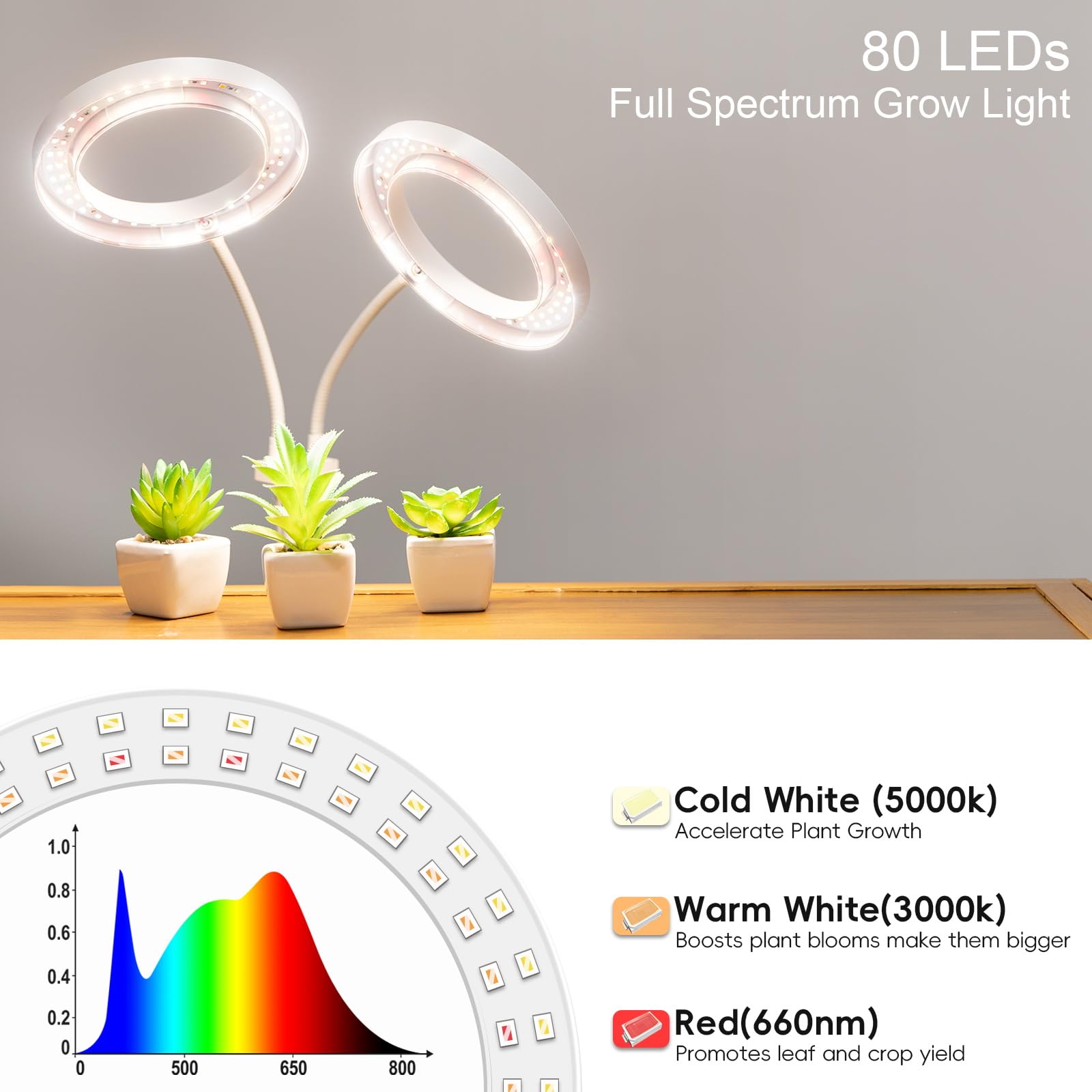 LBW auto-timer enables dependable daily light cycles.