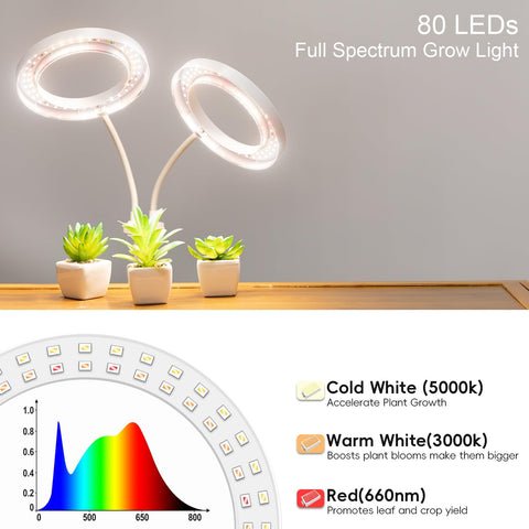 LBW auto-timer enables dependable daily light cycles.