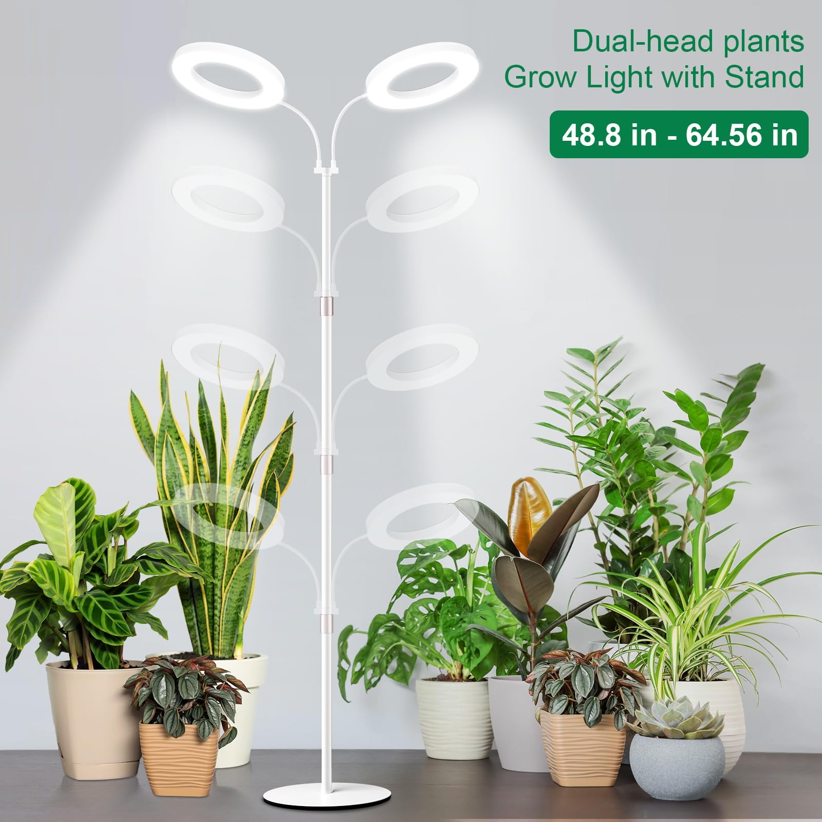 LBW floor grow light stand height adjustment enables reaching tall specimens with ease.