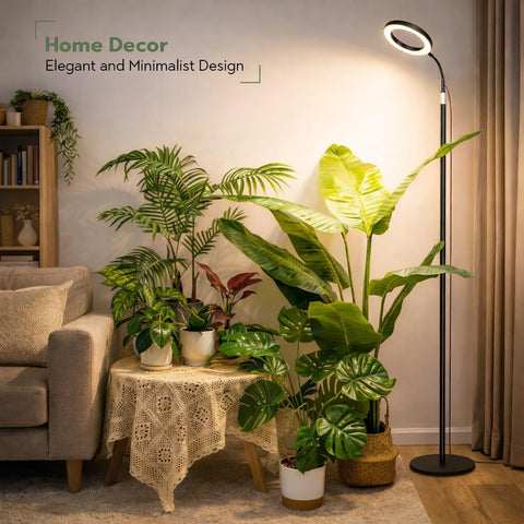 LBW floor grow light in use with large plants like monstera delivers even illumination.