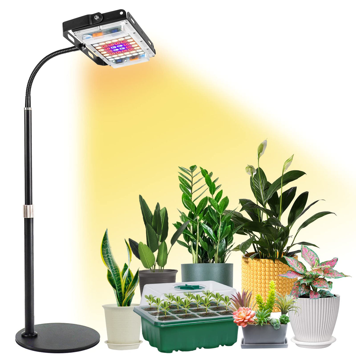 LBW Grow Light desktop base provides stable support for compact indoor plants.