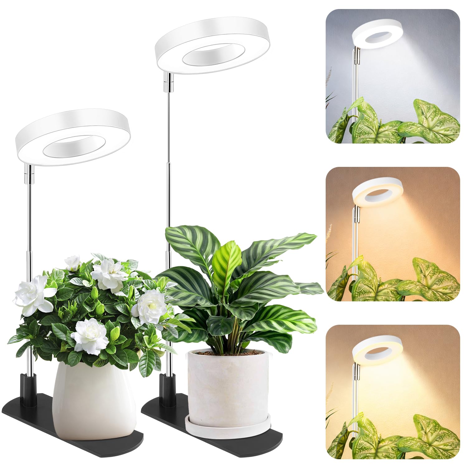 LBW Grow Light with full-spectrum indoor lighting for healthy houseplants.