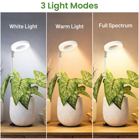 LBW Grow Light full-spectrum output supports growth stages and lush foliage